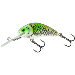 Wobler Salmo Hornet H5F OHS 5 cm