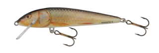 Wobler Salmo Minnow M5F RR 5 cm